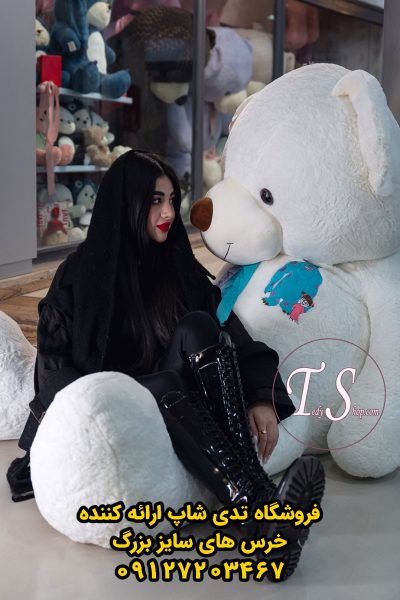 خرس-سفید-سالیوانی