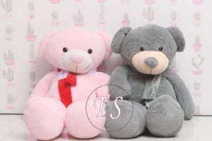 خرس خاکستری یک و نیم متری - تصویر 3
