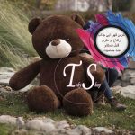 عروسک خرس قهوه ای دو متری