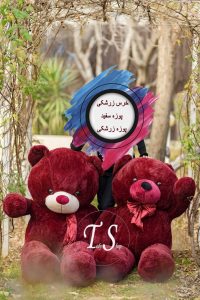 عروسک خرس زرشکی 2 متری - تصویر 2