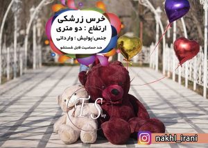 عروسک خرس زرشکی دو متر و 30 سانتی - تصویر 2