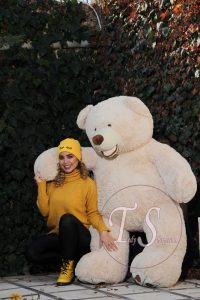 خرس گریزلی تپل خاص - تصویر 3