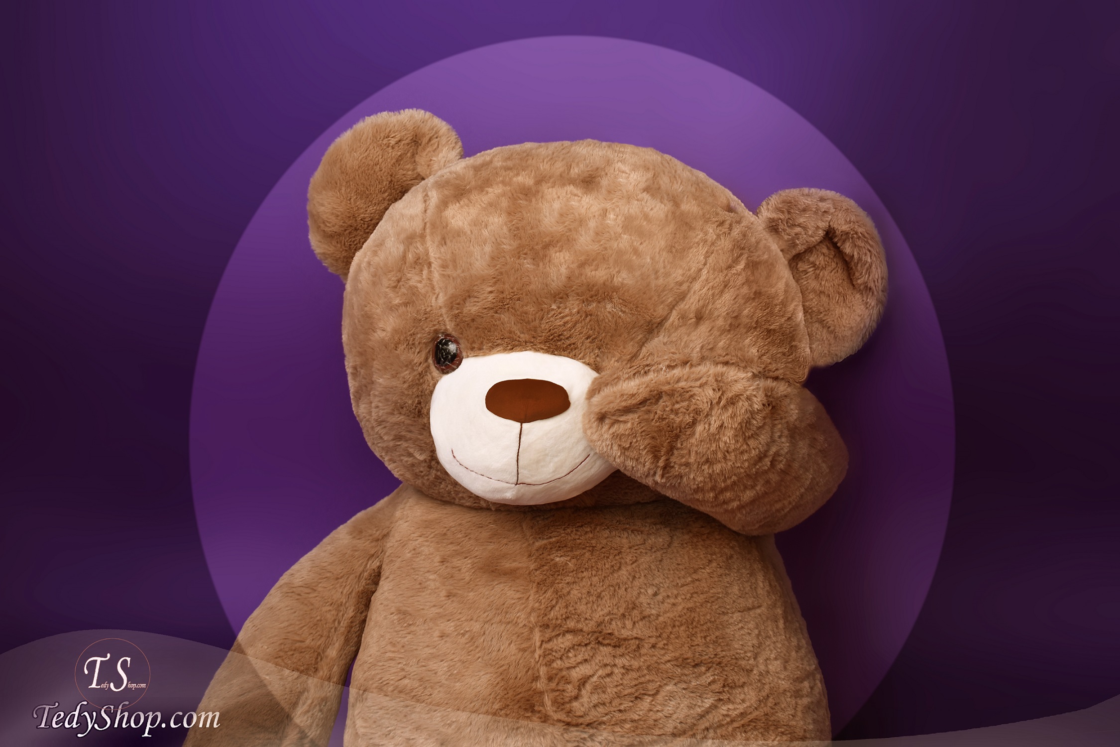 TED_050082 خرس شکلاتی بزرگ 155 سانتی - تصویر 1