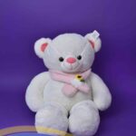 خرس سفید شالگردن دار