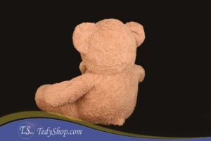 خرس کرم نسکافه ای - تصویر 2