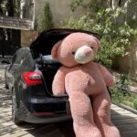 خرس دو متر و بیست سانتی گلبه ایی