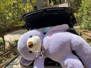خرس دو متری بنفش بسیار خپل - تصویر 13