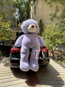 خرس دو متری بنفش بسیار خپل - تصویر 12