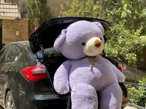 خرس دو متری بنفش بسیار خپل - تصویر 7
