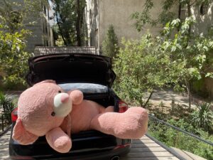 خرس دو متر و بیست سانتی گلبه ایی - تصویر 2