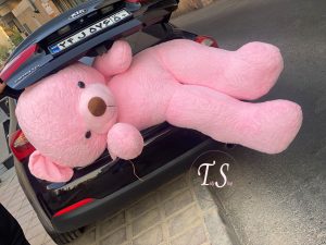 خرس تدی غول‌پیکر ۲ متری گلبه ای - تصویر 4