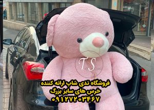 خرس کالباسی راس 220 سانتی - تصویر 5